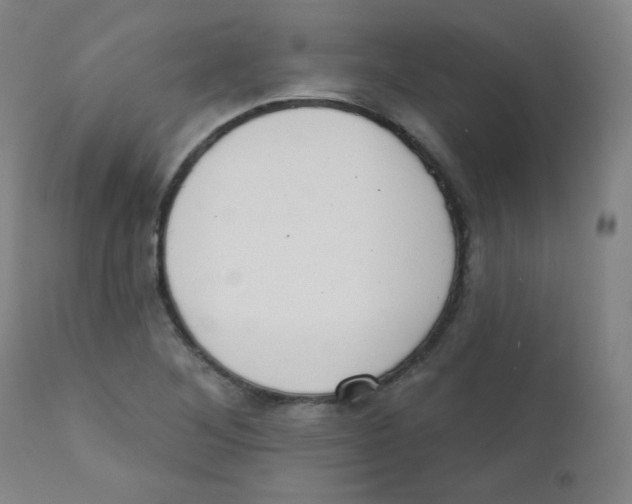X0000111611268200908141245
