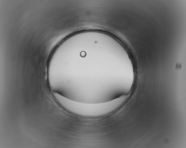 X0000111611269200908141245