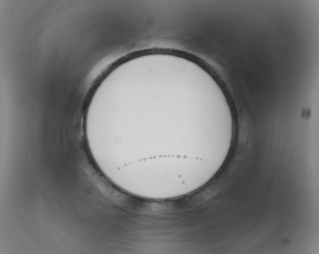 X0000111611271200908141245