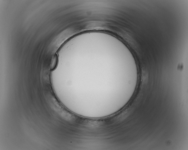 X0000111611273200908141245