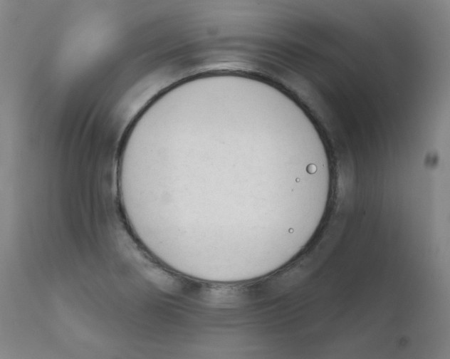 X0000111611274200908141245