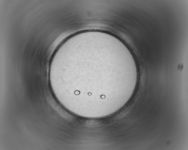 X0000111611275200908141245