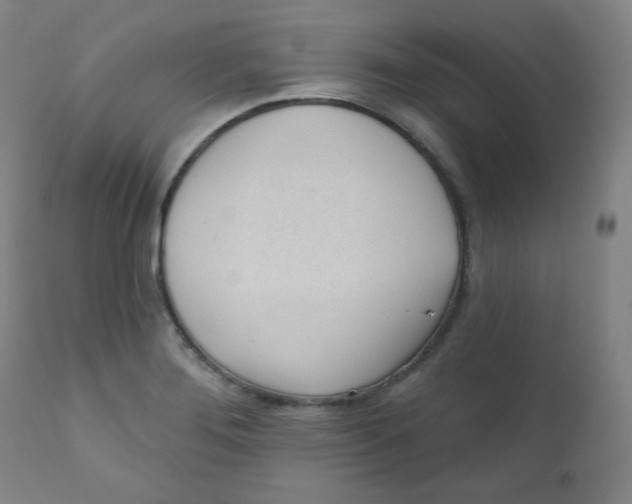 X0000111611276200908141245