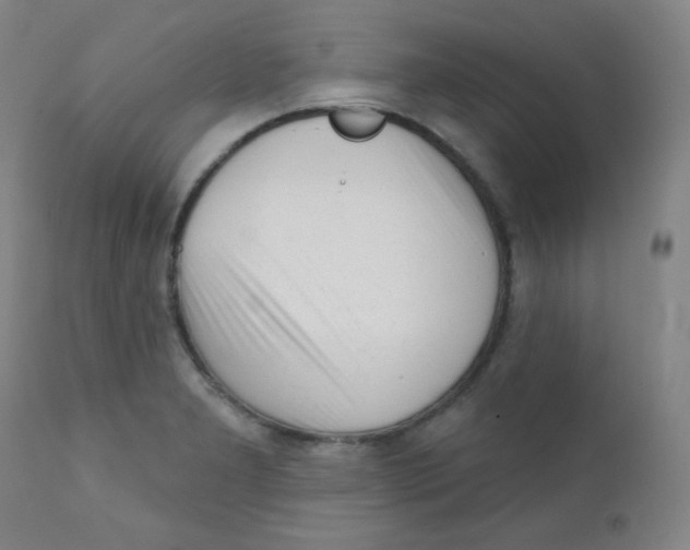 X0000111611277200908141245