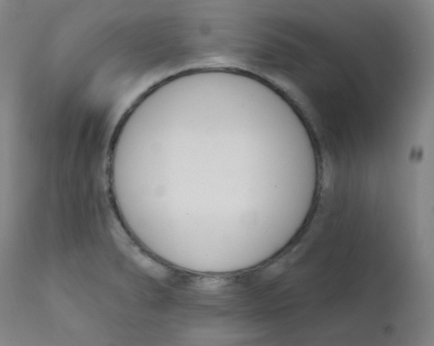 X0000111611278200908141245