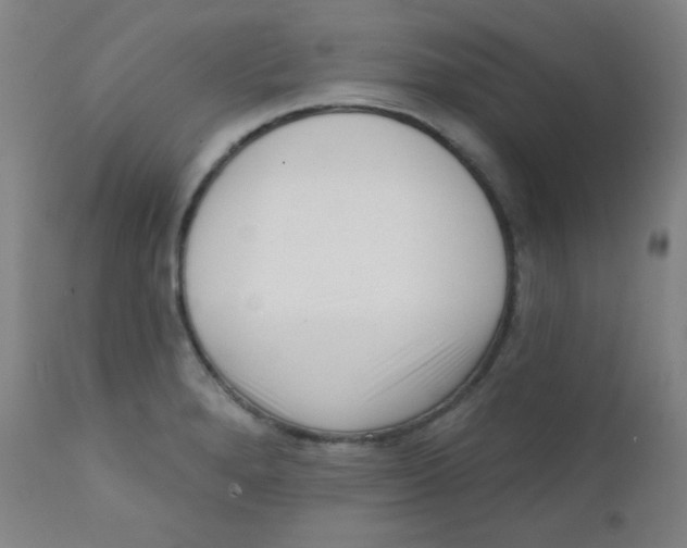 X0000111611280200908141245