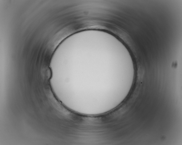 X0000111611281200908141245