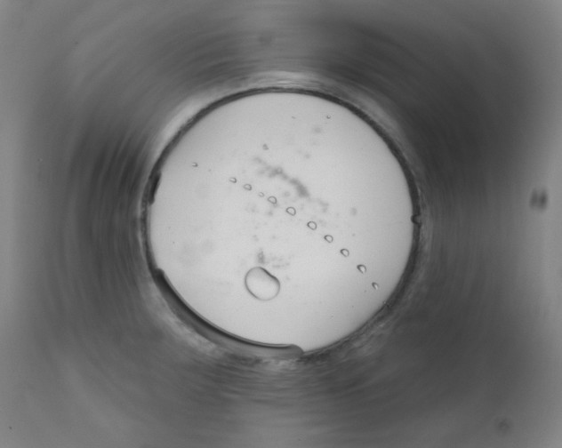 X0000111611283200908141245