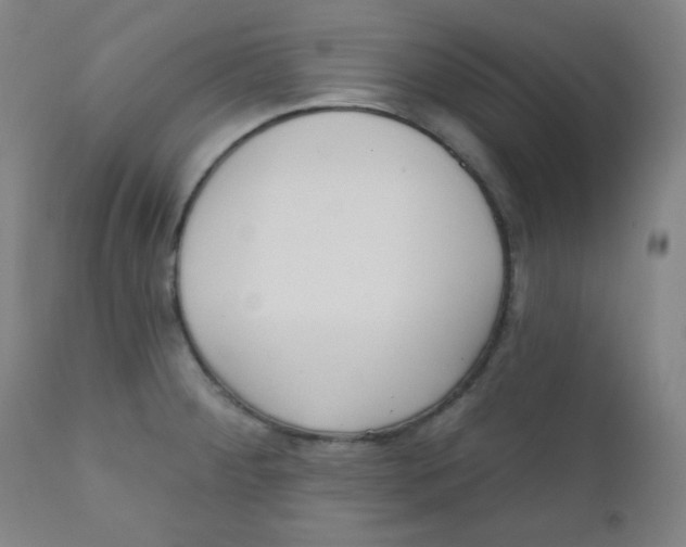 X0000111611284200908141245