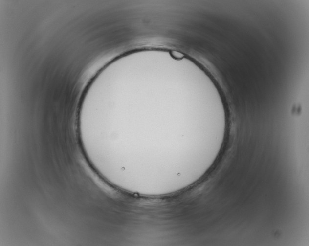 X0000111611285200908141245