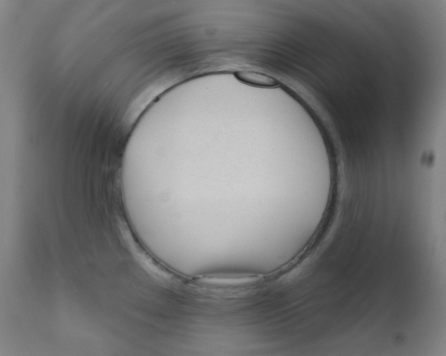X0000111611289200908141245