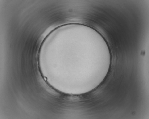 X0000111611291200908141245