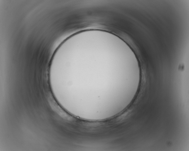 X0000111611292200908141245