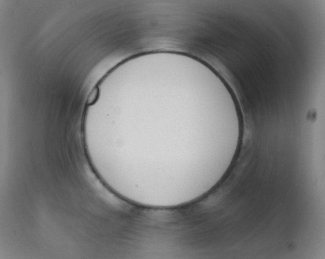 X0000111611293200908141245