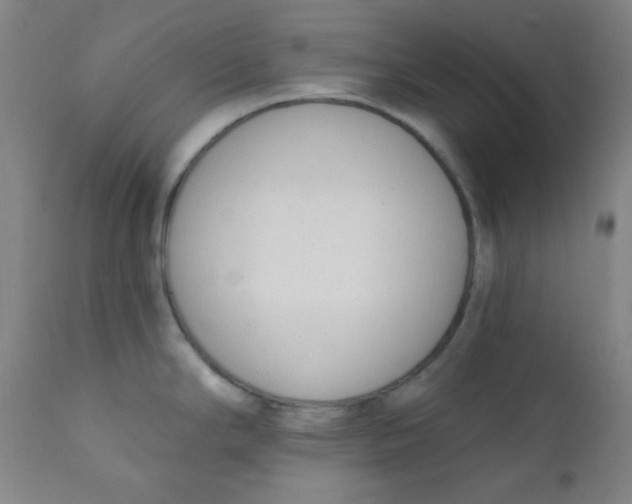 X0000111611294200908141245