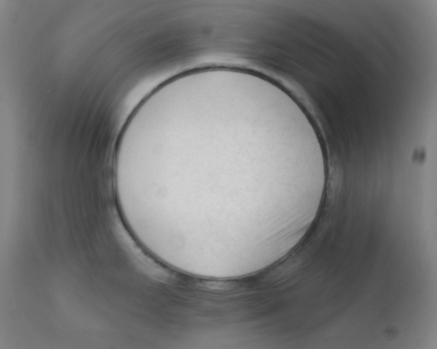 X0000111611295200908141245