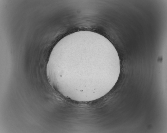 X0000111611297200908141244