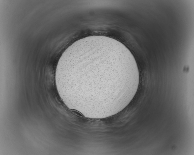 X0000111611298200908141244
