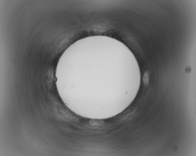 X0000111611299200908141244