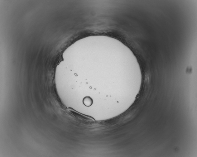 X0000111611300200908141244