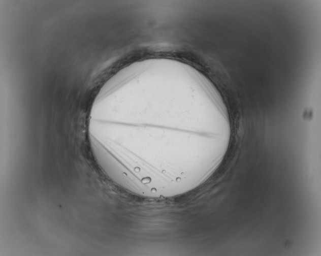 X0000111611301200908141244