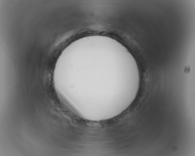 X0000111611302200908141244