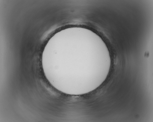 X0000111611304200908141244