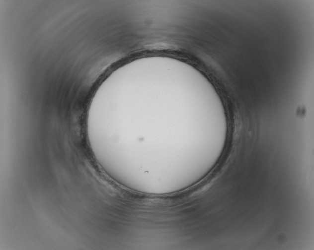 X0000111611305200908141244