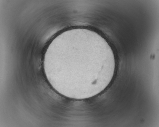 X0000111611306200908141244