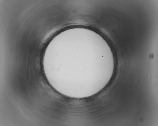 X0000111611307200908141244