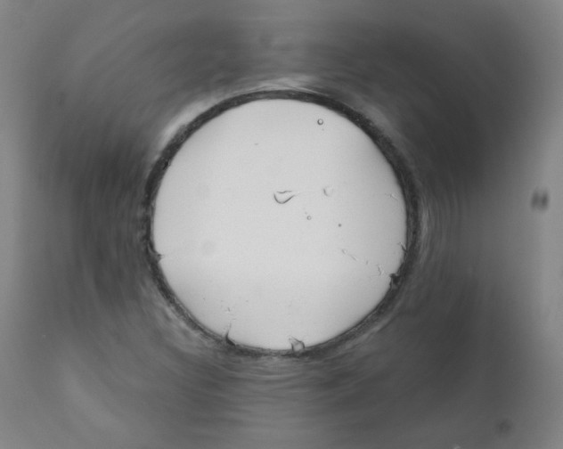 X0000111611308200908141244