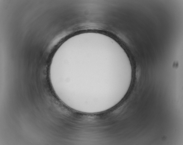 X0000111611309200908141244
