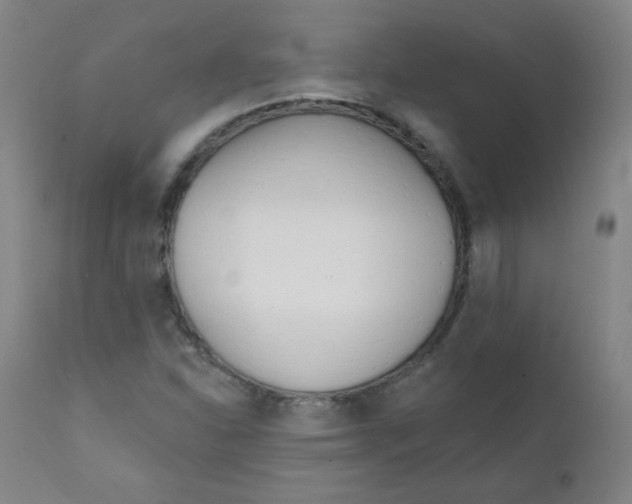 X0000111611310200908141244