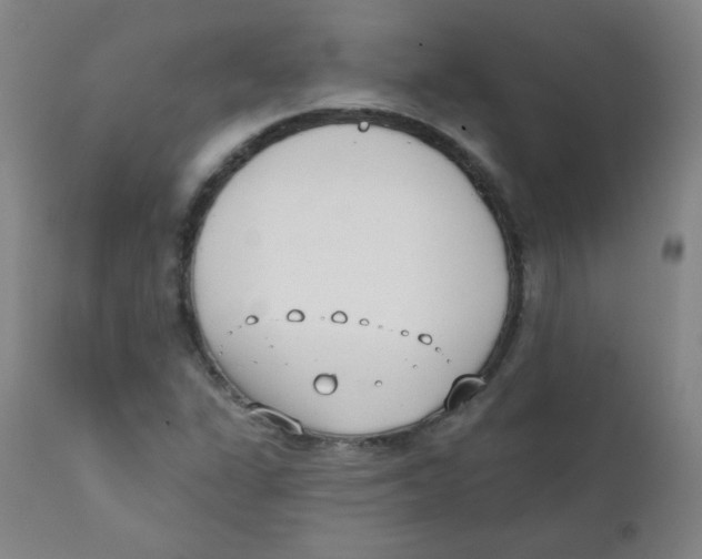 X0000111611311200908141244