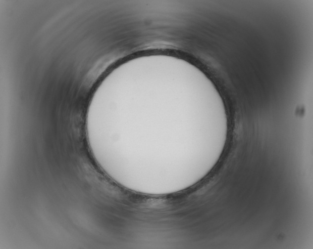 X0000111611313200908141244