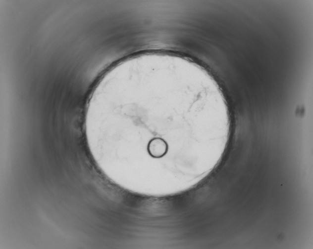 X0000111611314200908141244