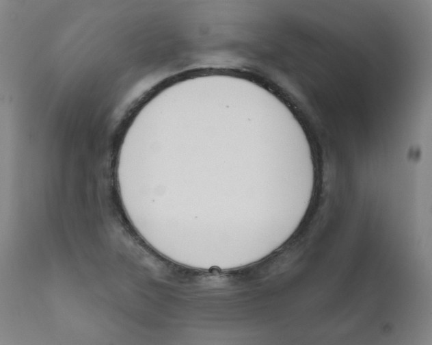 X0000111611315200908141244