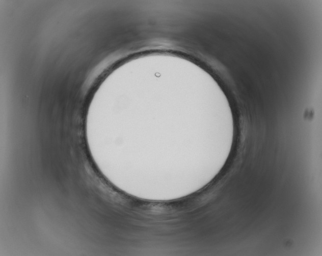 X0000111611318200908141244