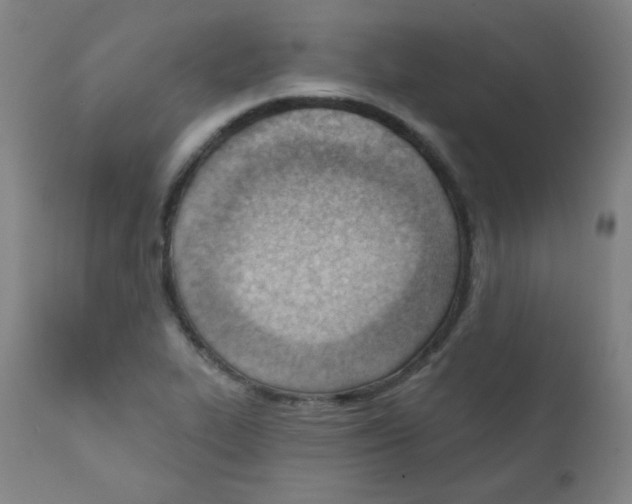 X0000111611319200908141244