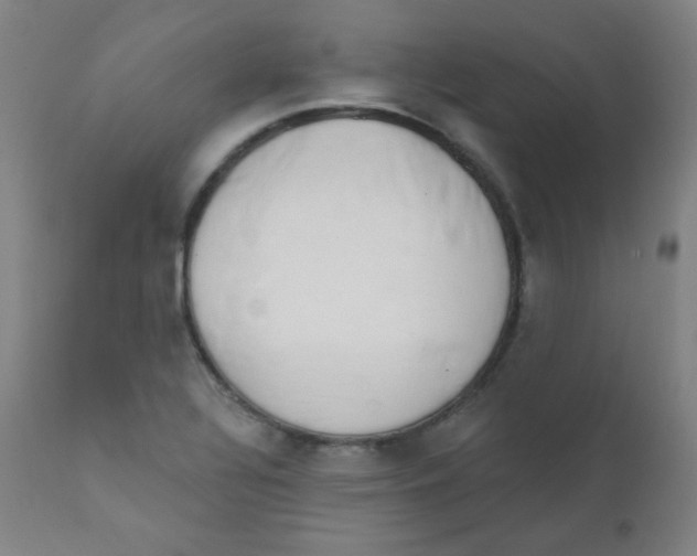 X0000111611320200908141244