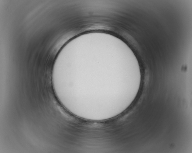 X0000111611321200908141244