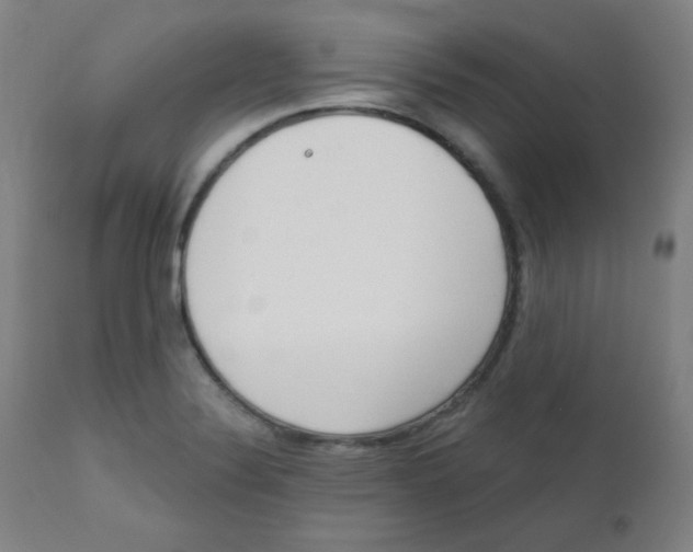 X0000111611324200908141244