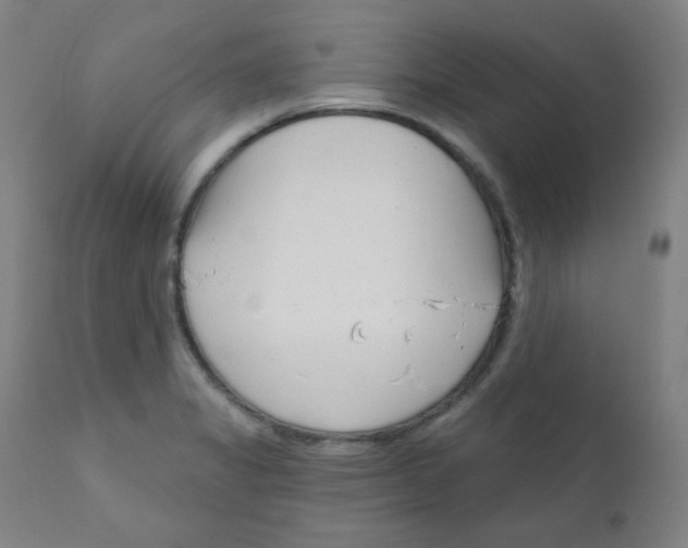 X0000111611325200908141244