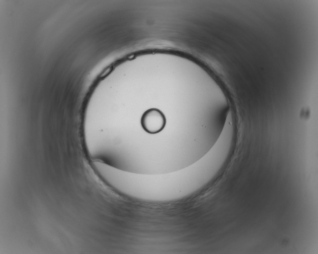 X0000111611326200908141244