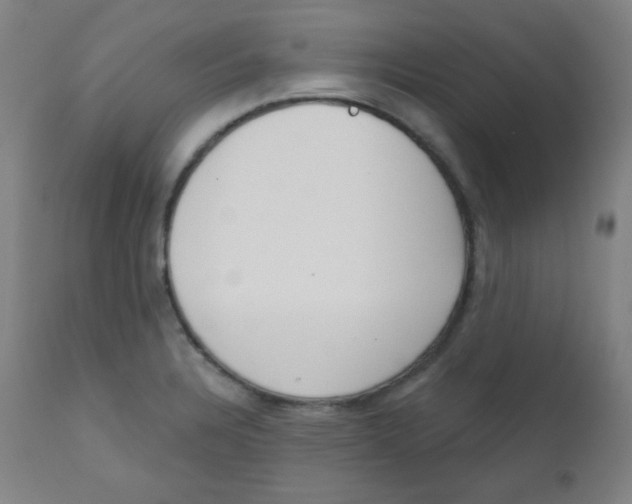 X0000111611328200908141244
