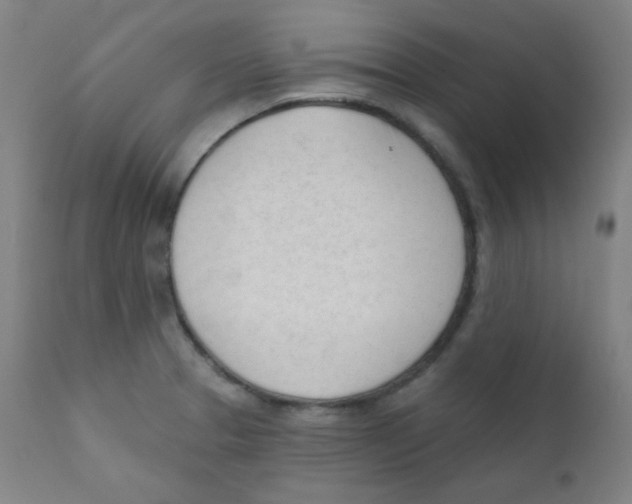 X0000111611329200908141244