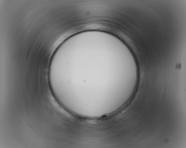 X0000111611330200908141244