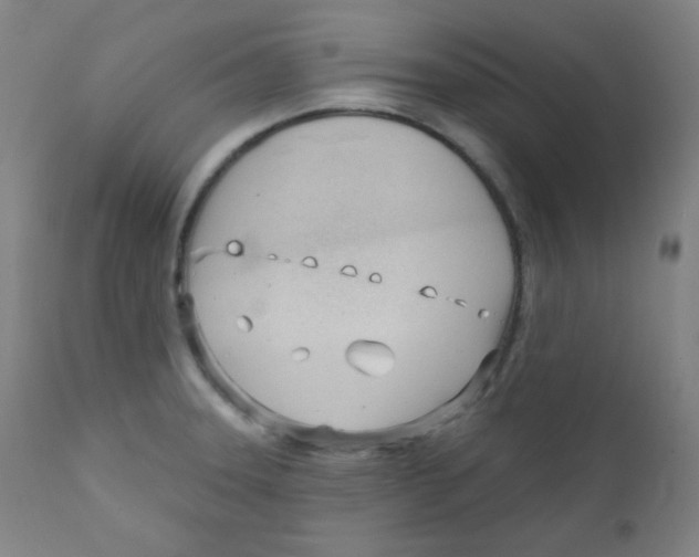 X0000111611331200908141244