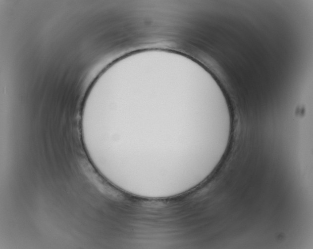 X0000111611332200908141244