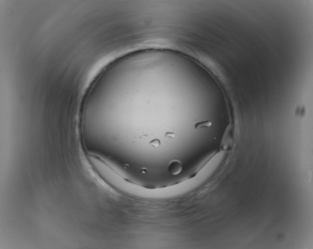X0000111611334200908141244